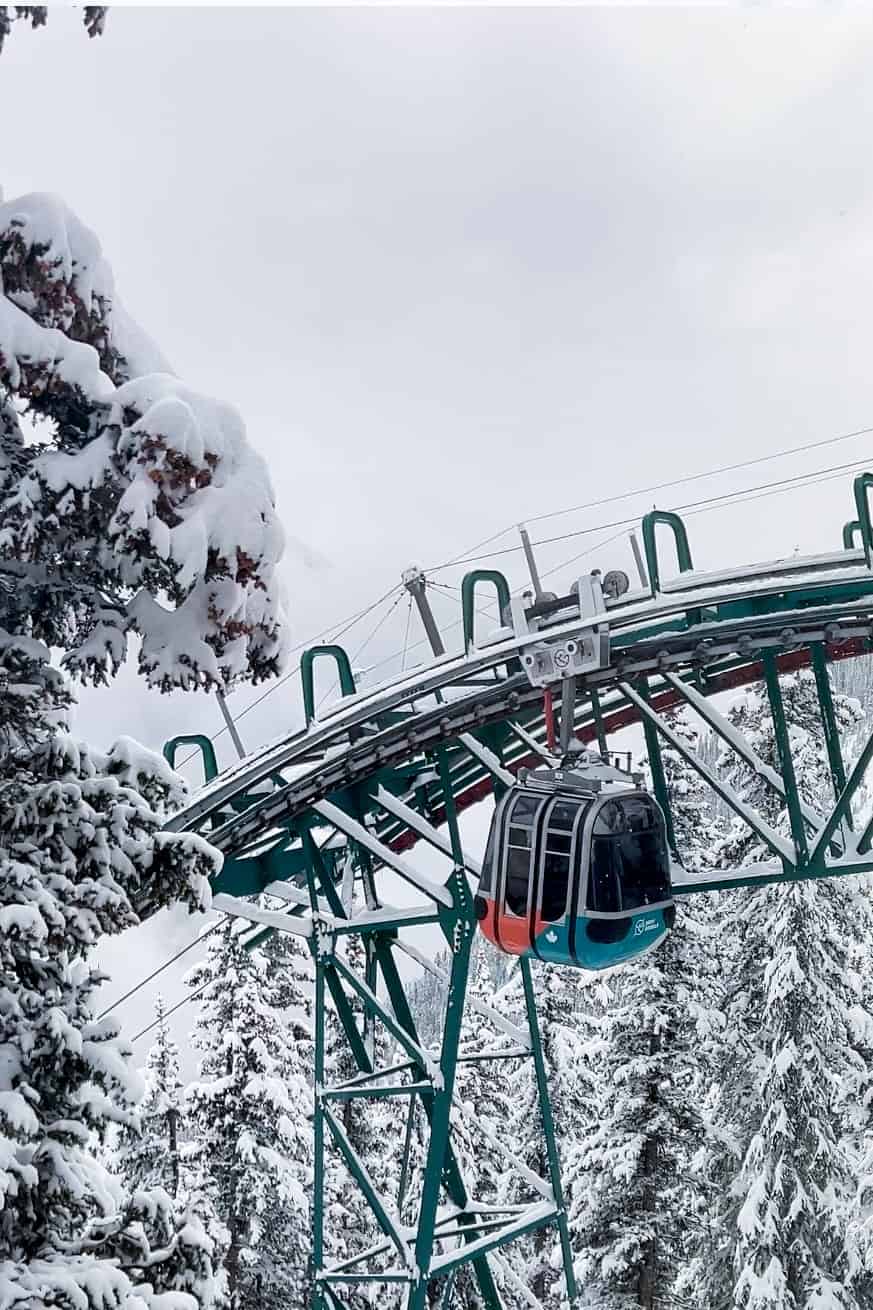 Banff Gondola vs. Hiking Sulphur Mountain: Which One Should You Actually Do?