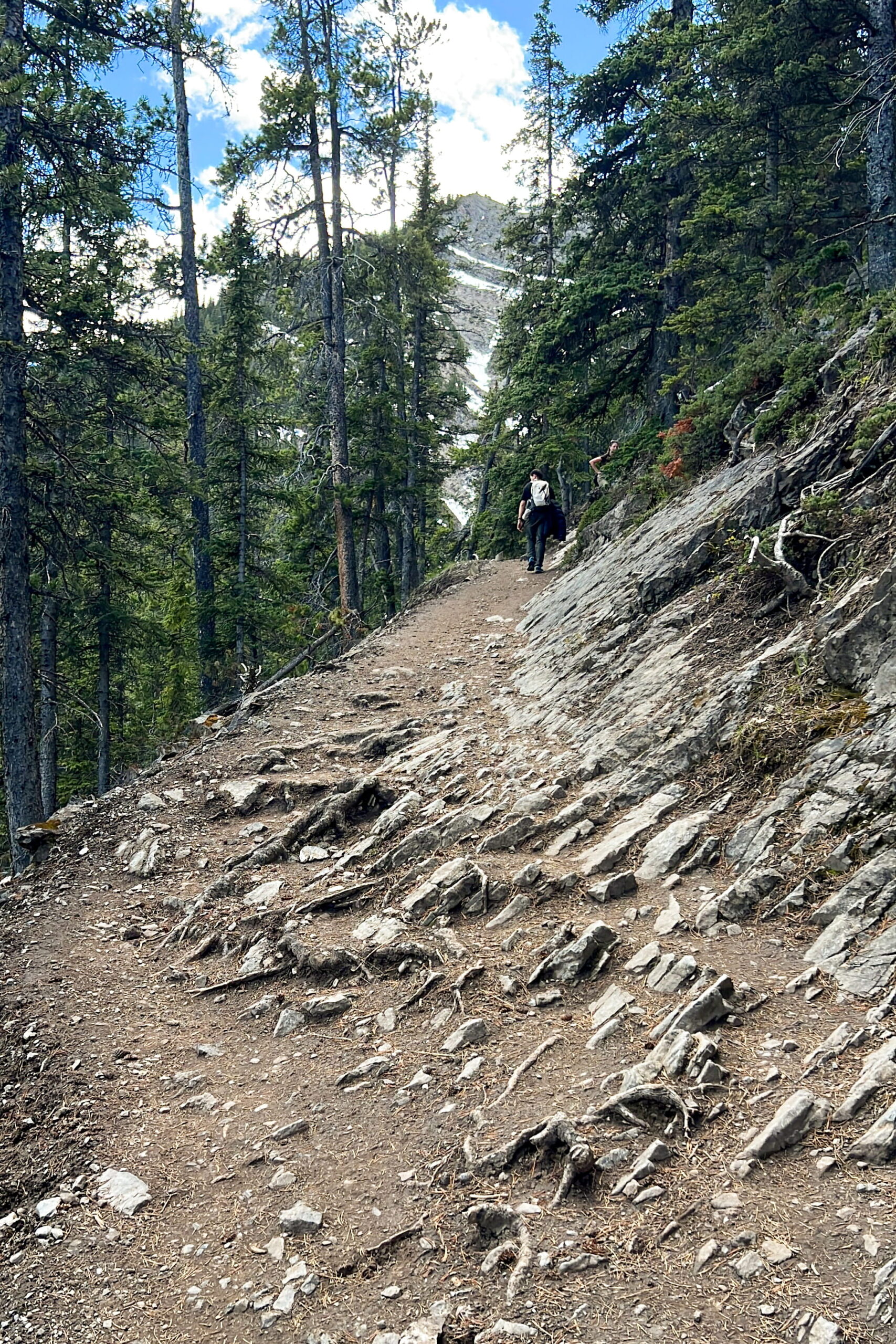 Sulphur mountain hiking trail