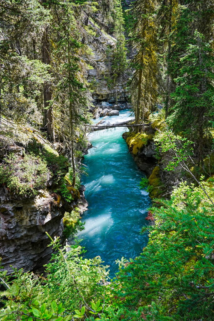 river in Johnston Canyon