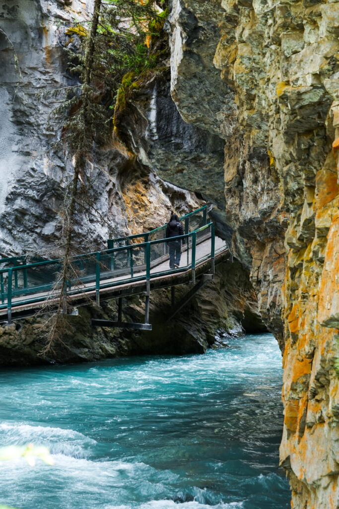 Johnston Canyon Trail in the morning