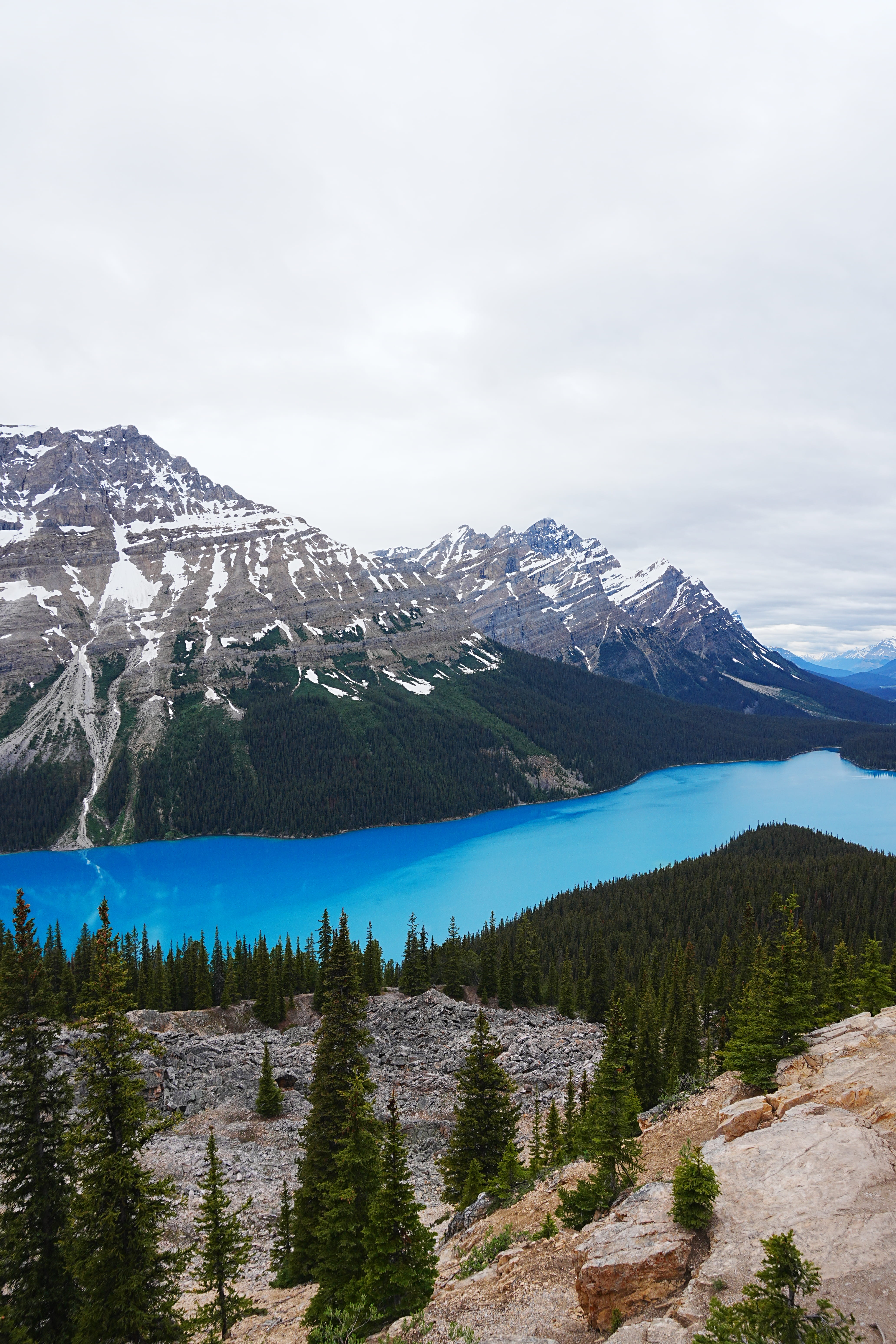 Peyto Lake viewpoint