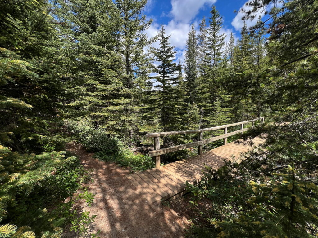 Bridge on Arnica Trail