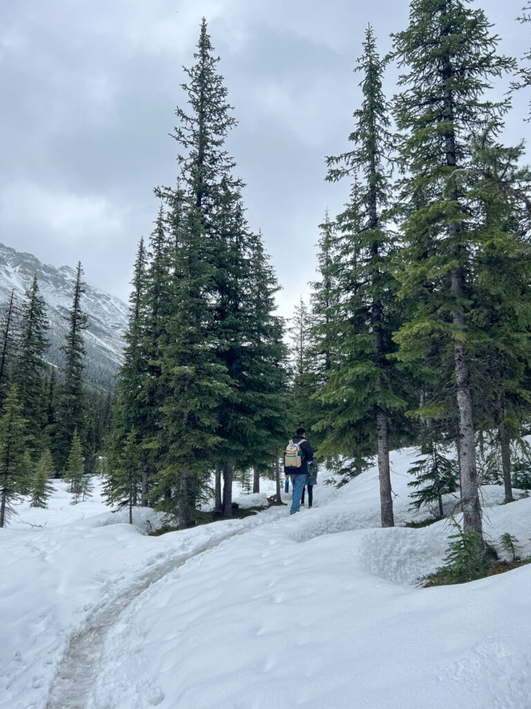 Couple hike on Consolation Lake Trail