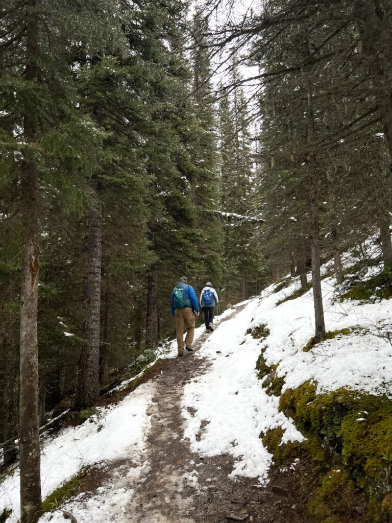 Consolation Lake Trail in May