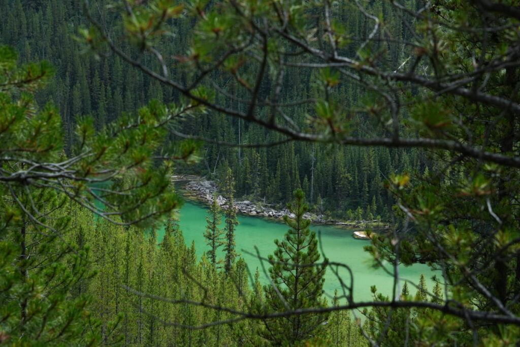 Vista Lake view from Arnica Trail