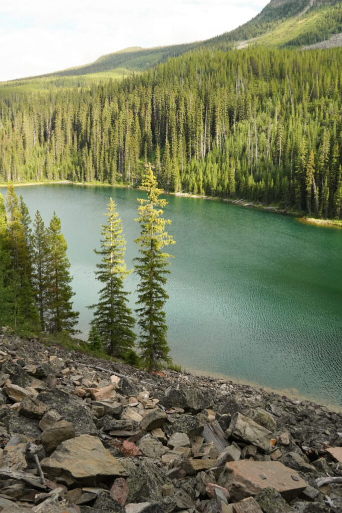 Vista Lake view from Arnica Trail